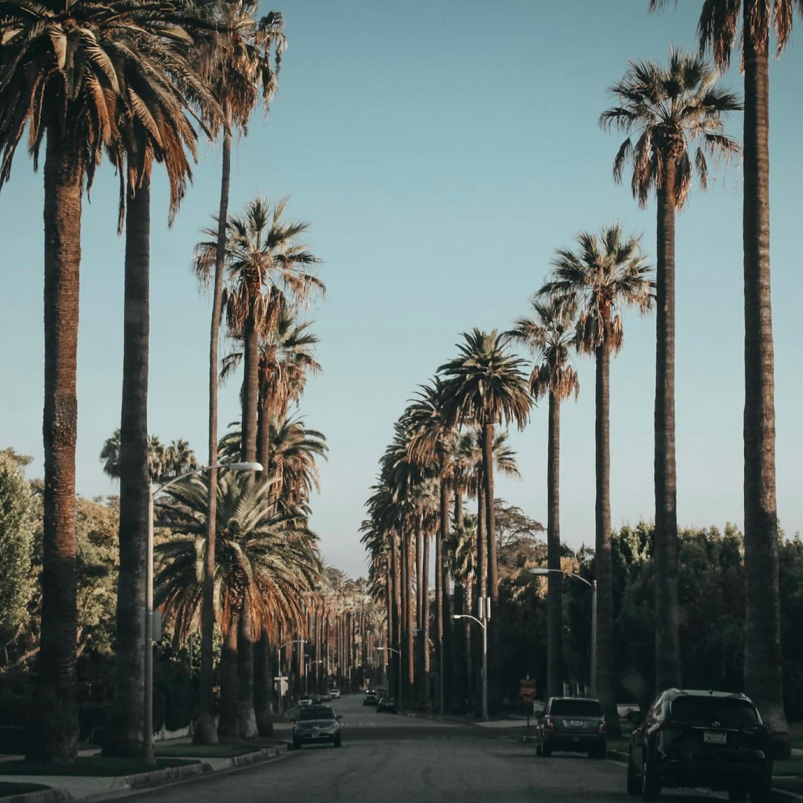The food scene in Los Angeles, United States